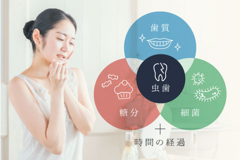 虫歯＝歯質＋糖分＋細菌＋時間の経過